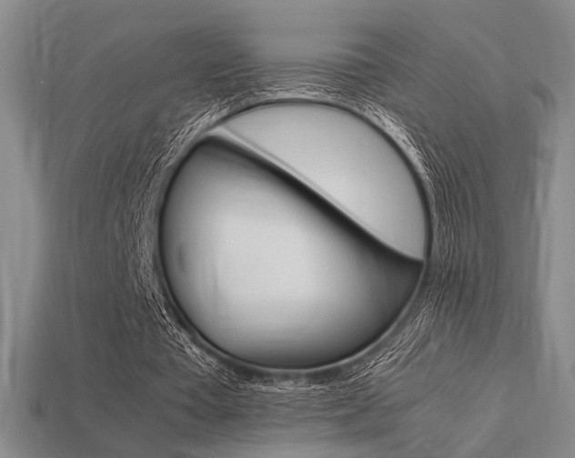 X0000113260385200909101254