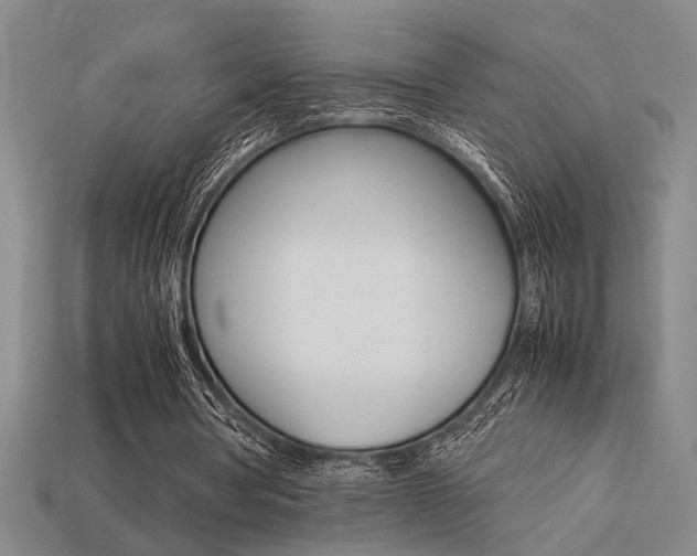 X0000113260386200909101254
