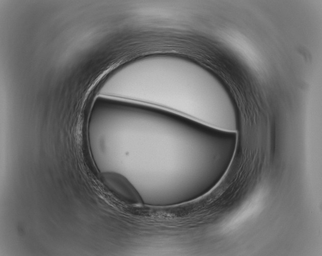 X0000113260387200909101254