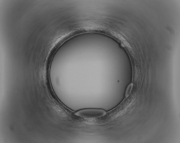 X0000113260391200909101254