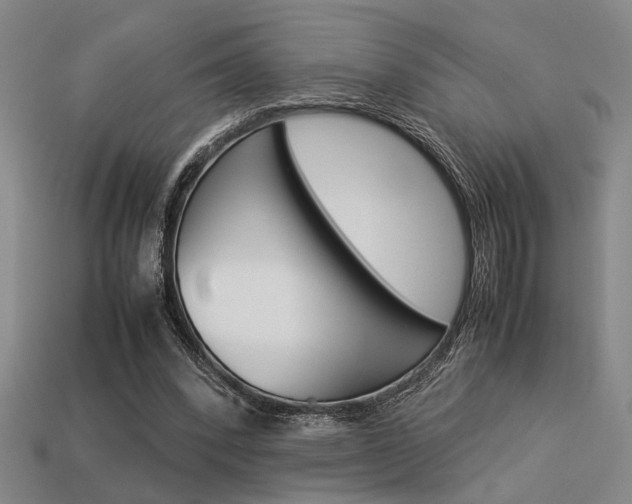 X0000113260392200909101254