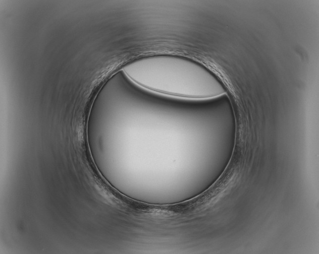 X0000113260393200909101254