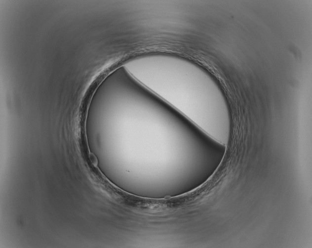 X0000113260395200909101254