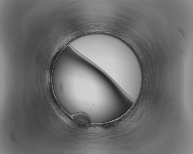 X0000113260397200909101254