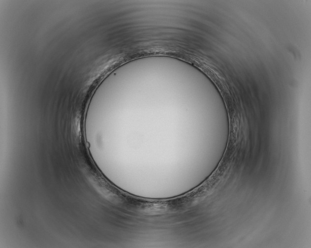 X0000113260398200909101254