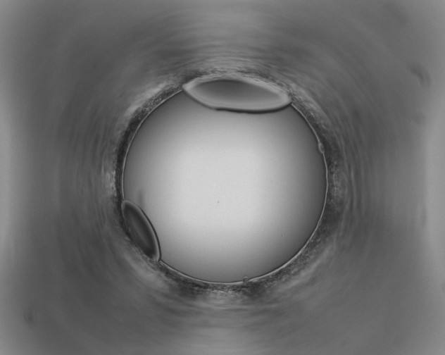 X0000113260399200909101254