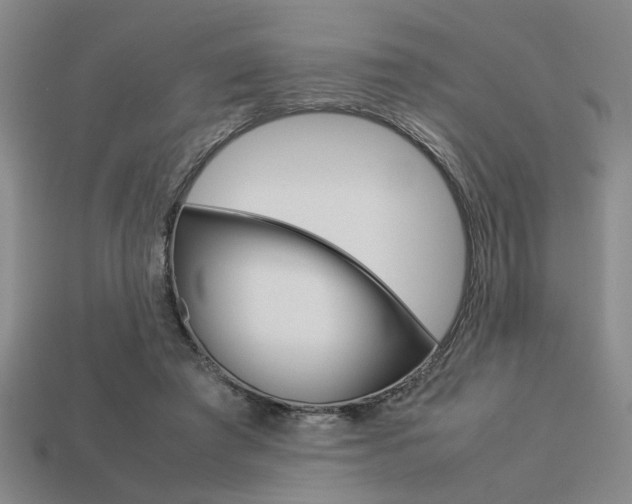 X0000113260401200909101254