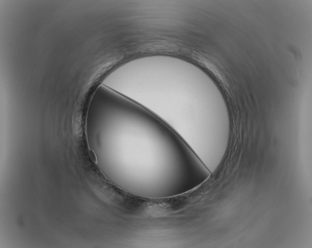 X0000113260403200909101254