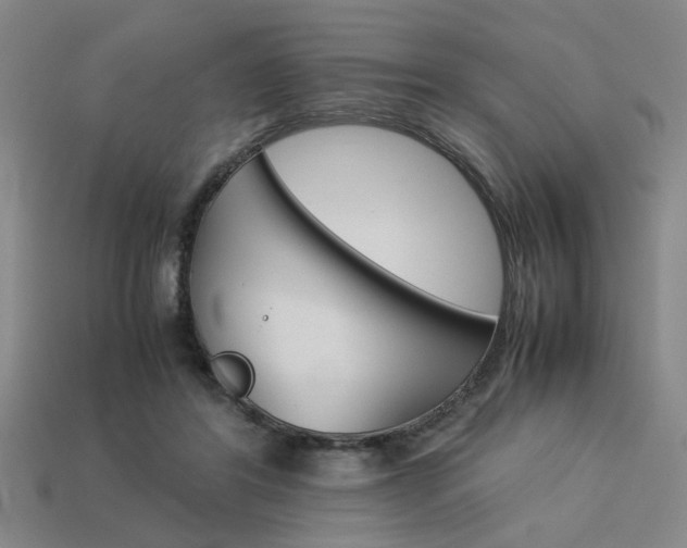 X0000113260404200909101254