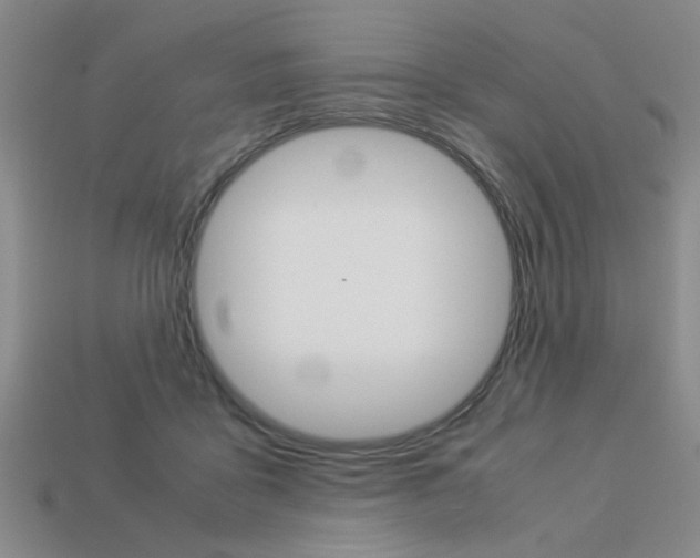 X0000113260411200909101254