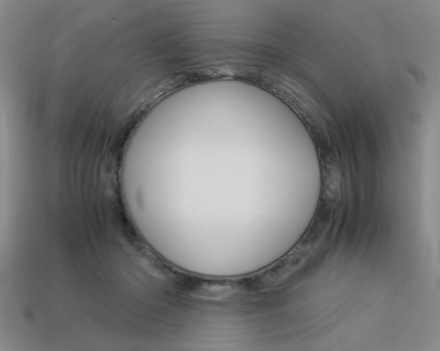 X0000113260414200909101254