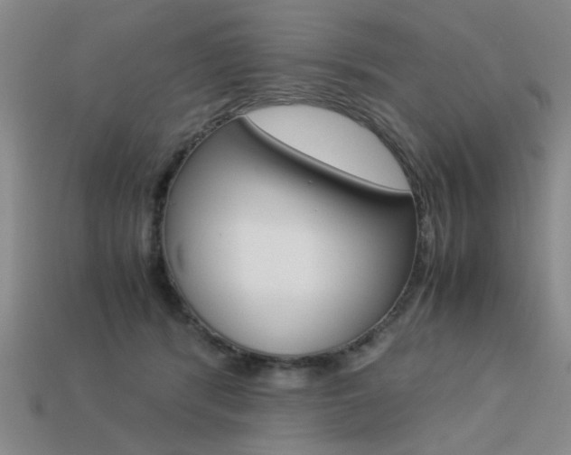 X0000113260416200909101254