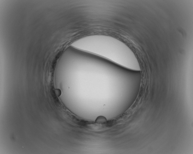 X0000113260417200909101254