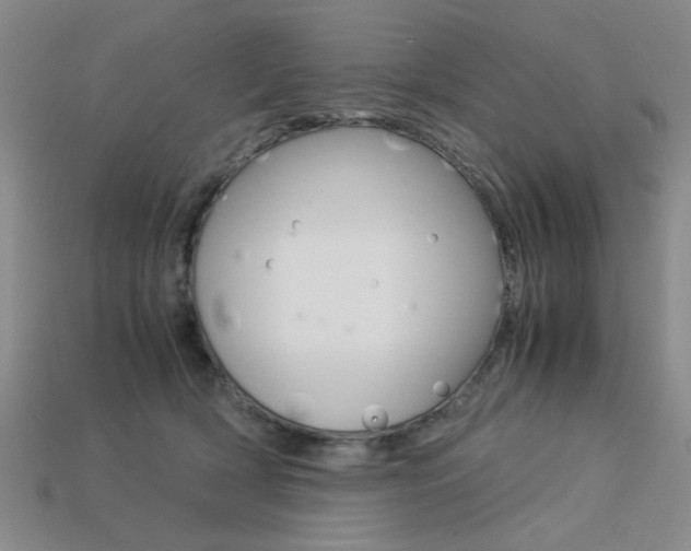 X0000113260418200909101254