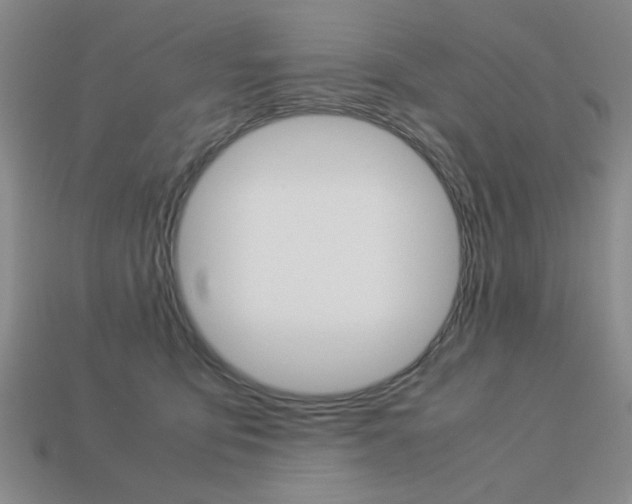X0000113260419200909101254