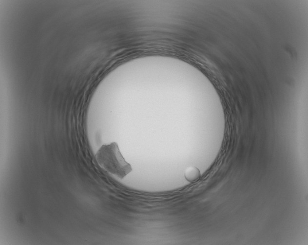 X0000113260421200909101254