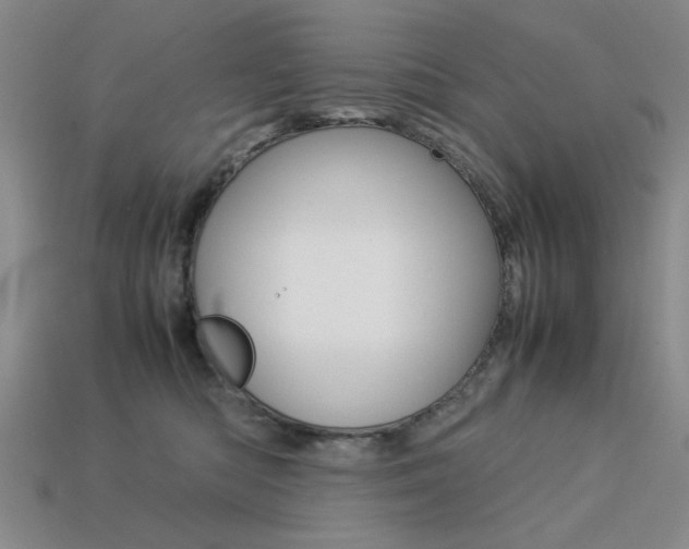 X0000113260422200909101254