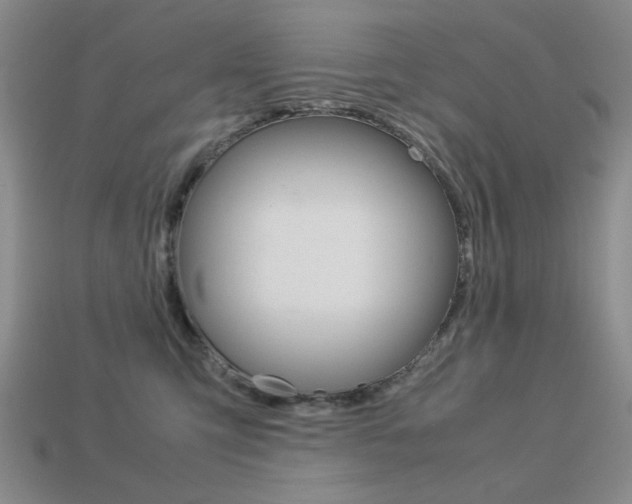 X0000113260423200909101254