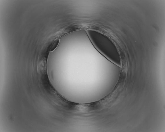 X0000113260425200909101254