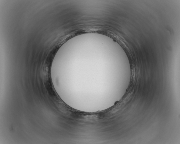 X0000113260426200909101254