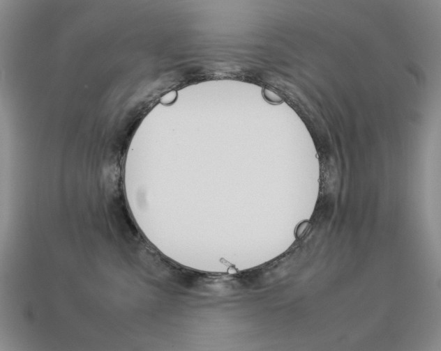 X0000113260427200909101254