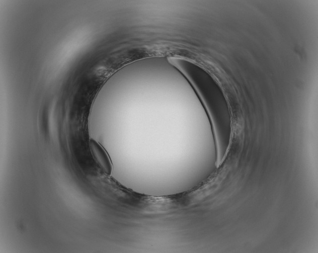X0000113260429200909101254