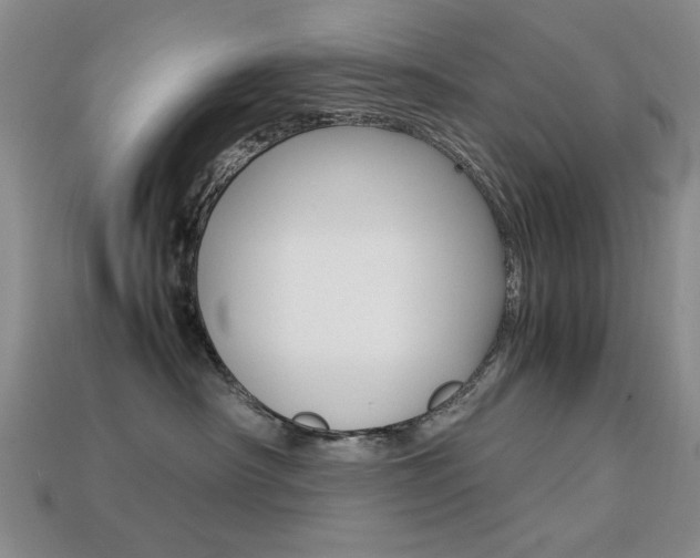 X0000113260430200909101254