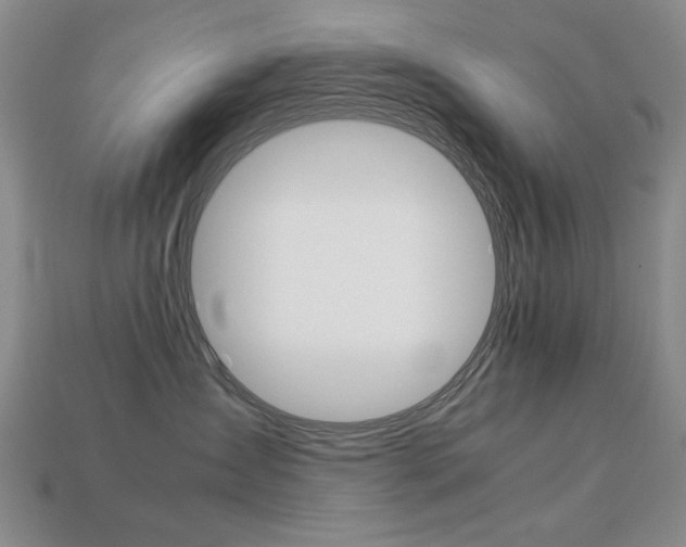 X0000113260431200909101254