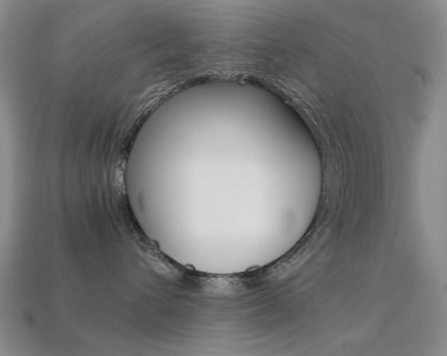X0000113260432200909101254