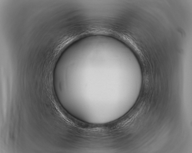 X0000113260433200909101253