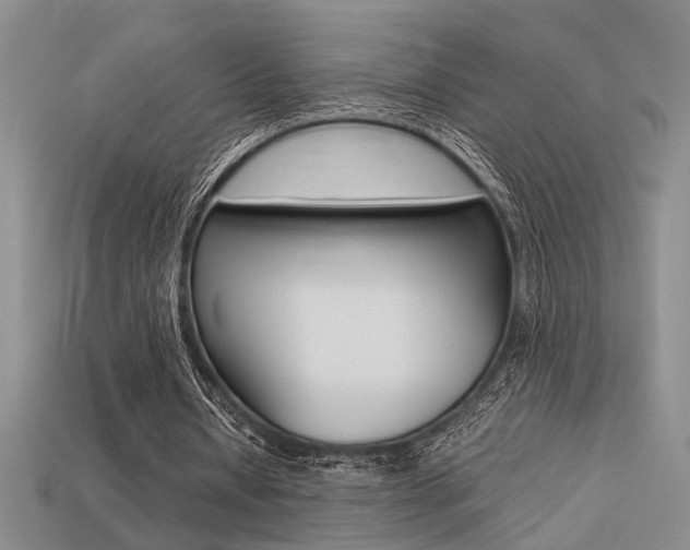 X0000113260434200909101253