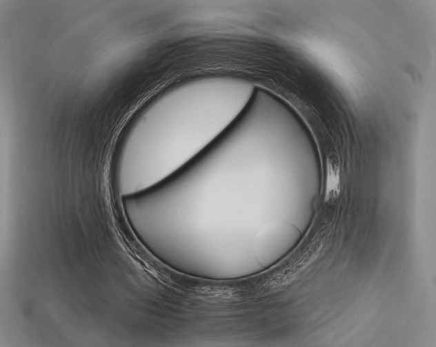 X0000113260435200909101253