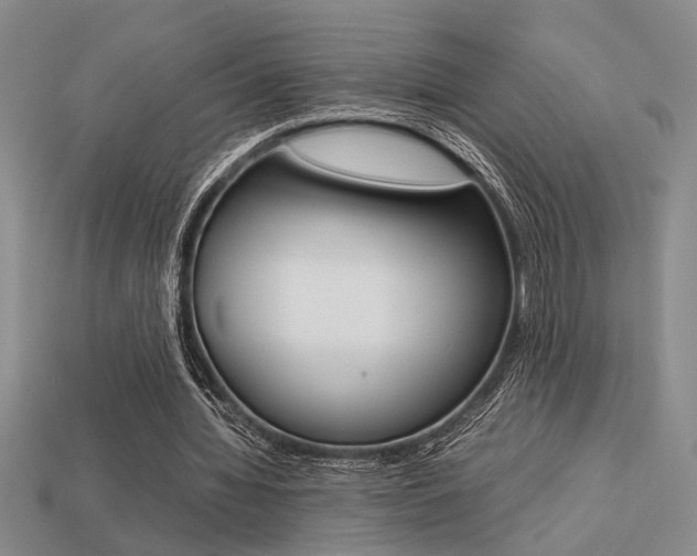 X0000113260436200909101253