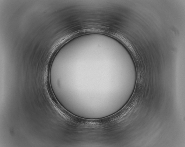 X0000113260437200909101253