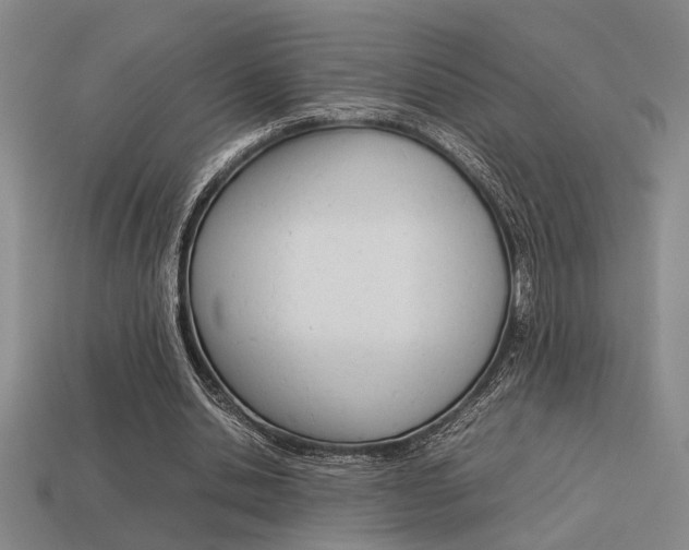 X0000113260438200909101253