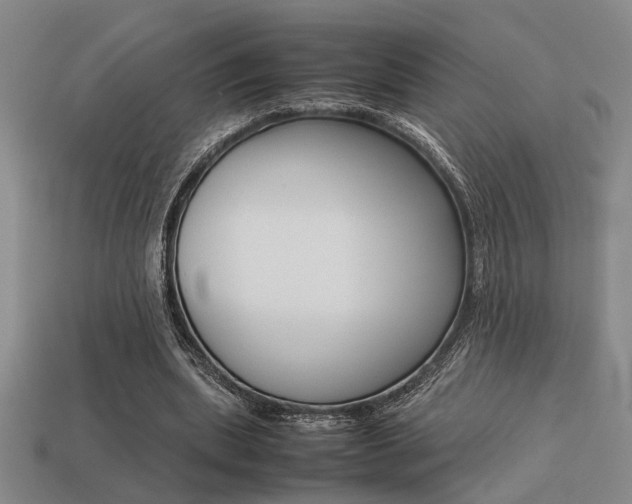 X0000113260439200909101253