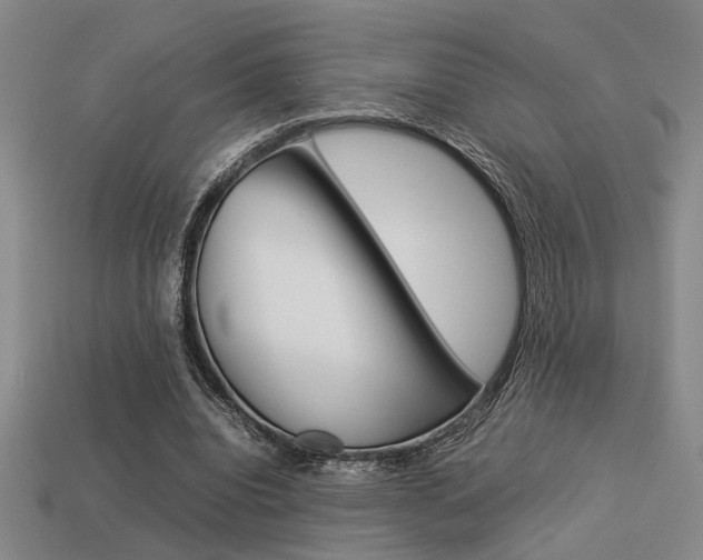 X0000113260440200909101253
