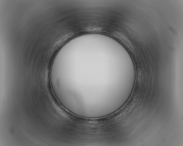 X0000113260441200909101253