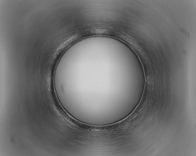 X0000113260442200909101253