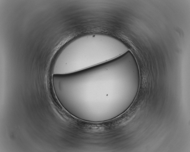 X0000113260443200909101253