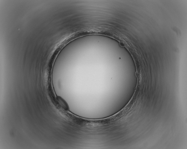 X0000113260444200909101253