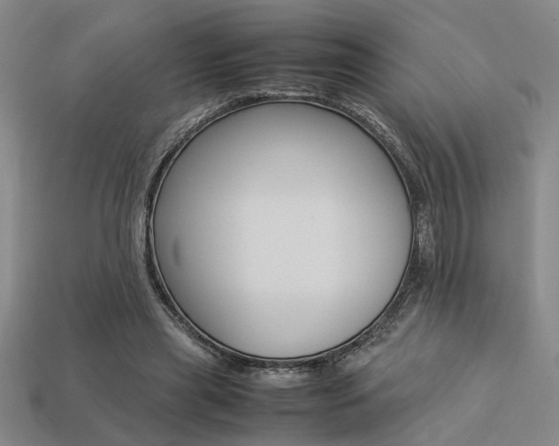 X0000113260445200909101253