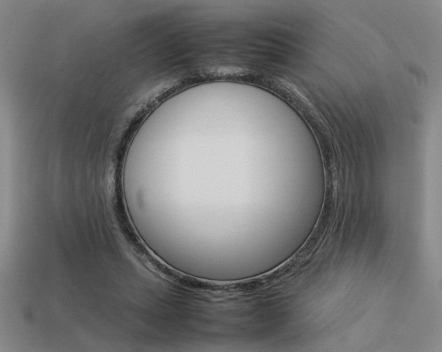 X0000113260447200909101253
