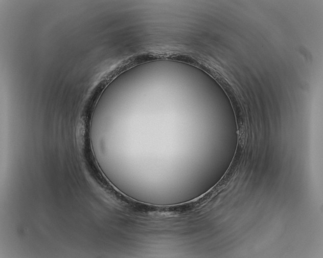 X0000113260448200909101253
