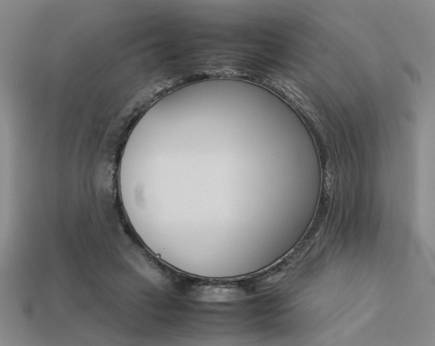 X0000113260449200909101253