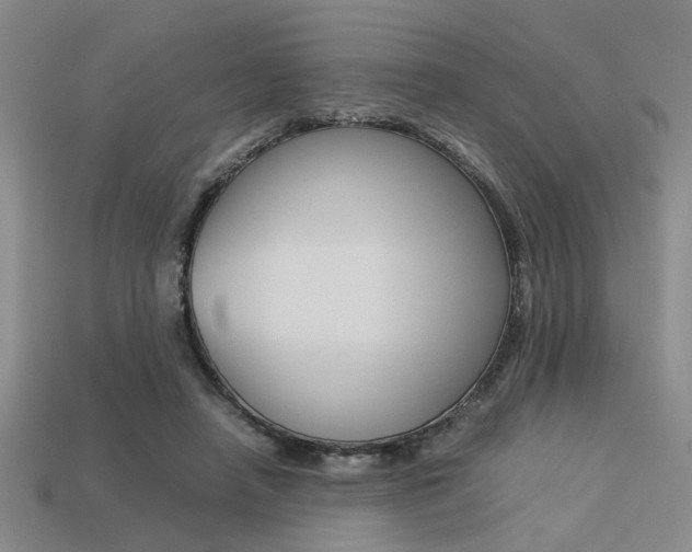 X0000113260450200909101253