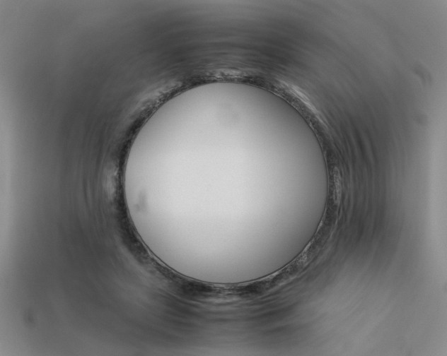 X0000113260451200909101253