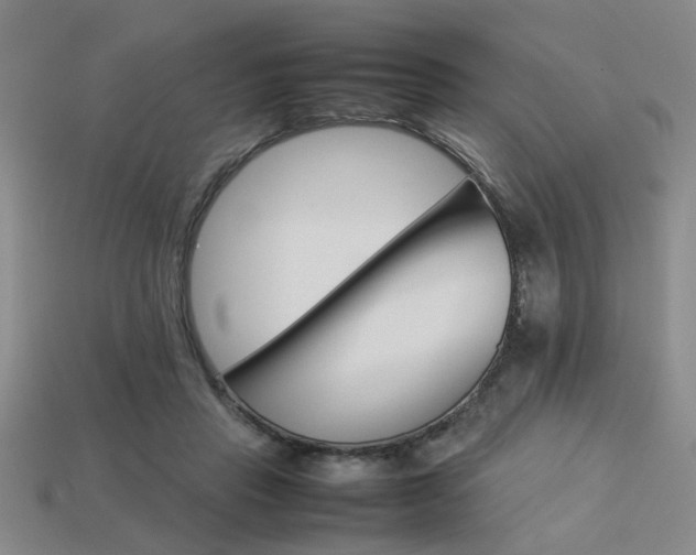X0000113260453200909101253