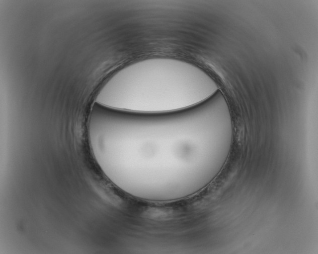 X0000113260455200909101253