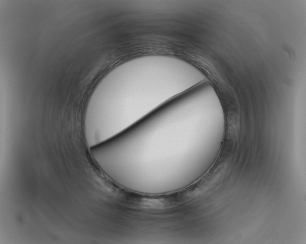 X0000113260457200909101253